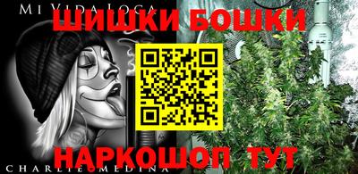 соль ск Кулебаки