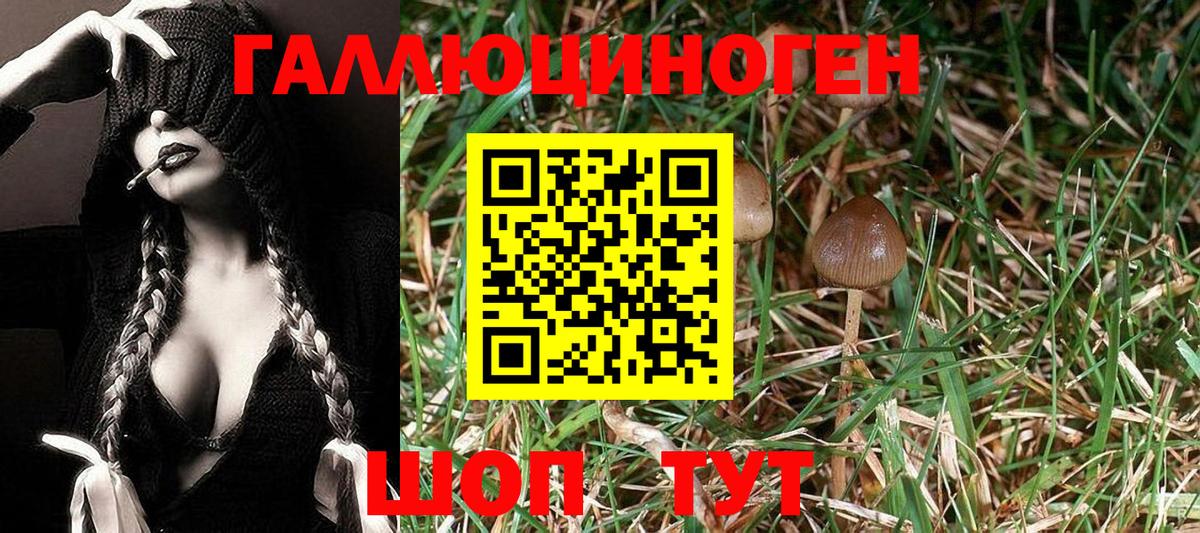 Избербаш  Псилоцибиновые грибы Psilocybe  наркота  Вход с VPN 