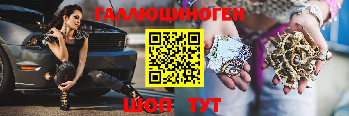 Псилоцибиновые грибы GOLDEN TEACHER Избербаш